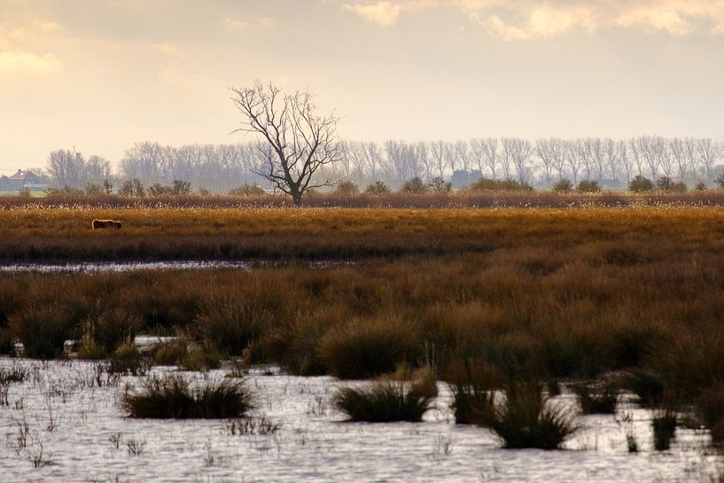 Water landscape Tiengemeten