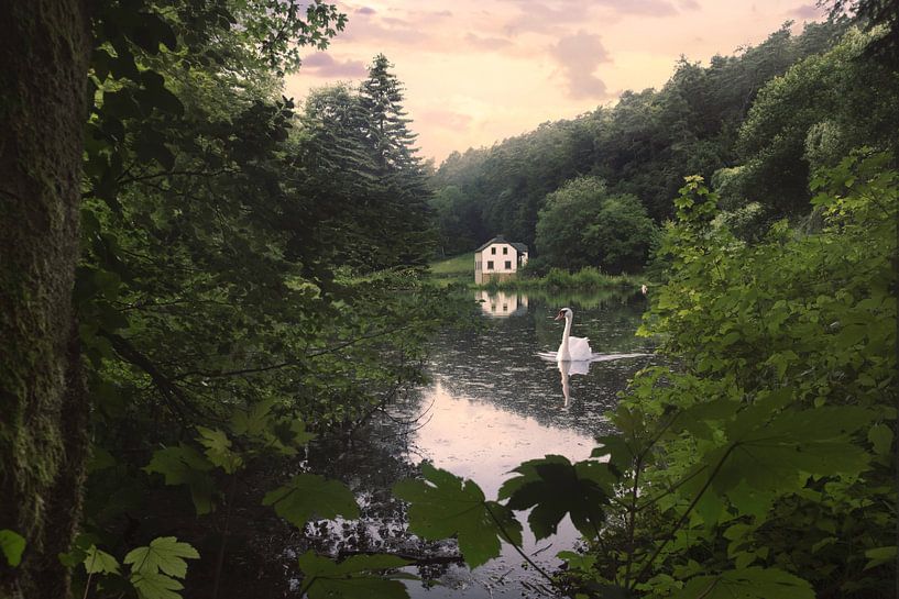 Cottage by the water