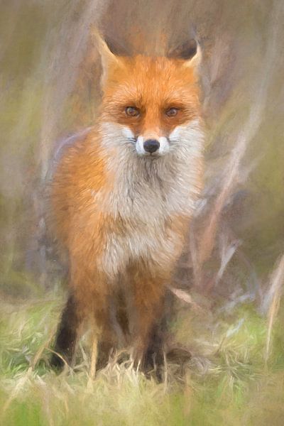 Painted Fox portrait