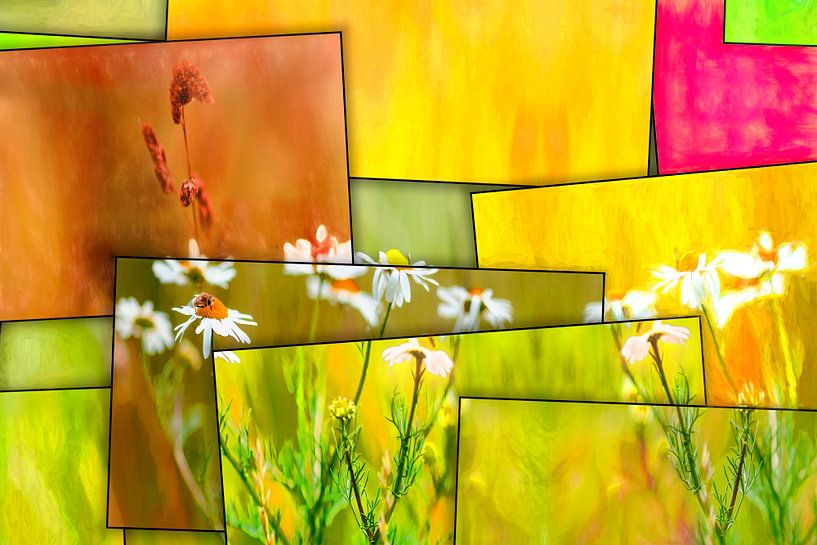 Spring in abstraction