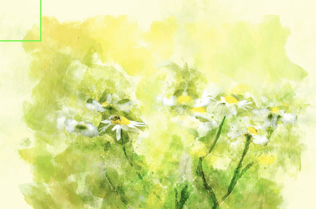 Watercolor Chamomile Flowers in Soft Yellow-Green