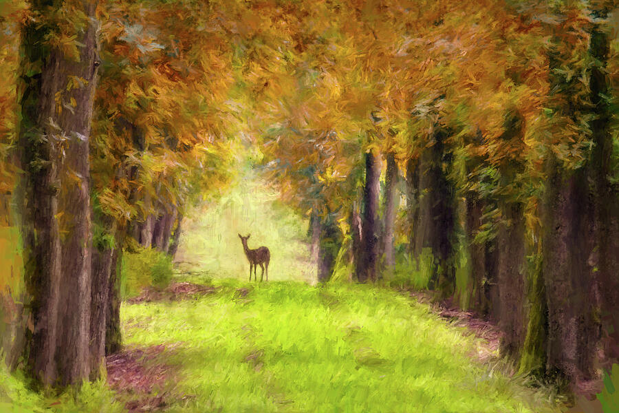 Painted Deer in National Park Hoge Veluwe a Dutch Nature Scene by Arjen Roos