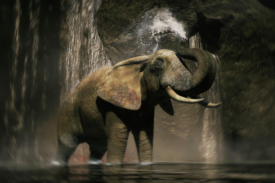 Elephant Shower Under the Waterfall by Arjen Roos