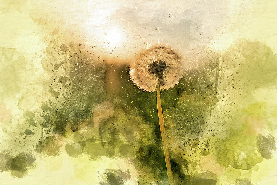 Golden Dandelion in Sunlight in Watercolor Style by Arjen Roos